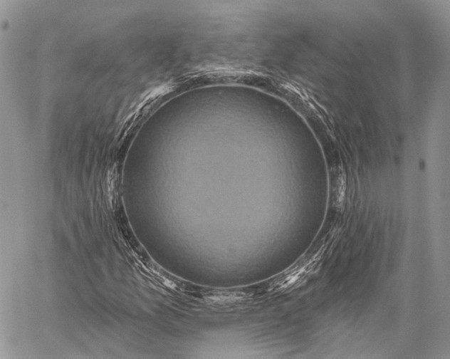 X0000059081157200510211535