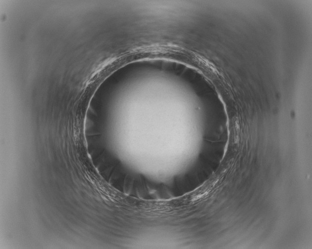 X0000059081158200510211535