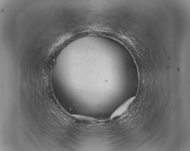 X0000059081159200510211534