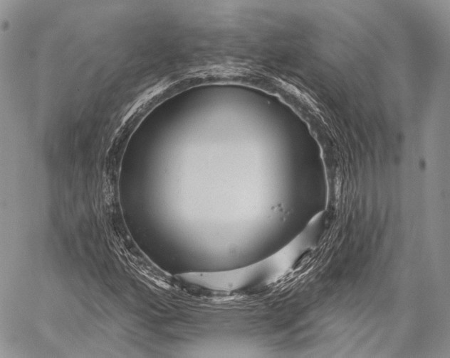 X0000059081160200510211534