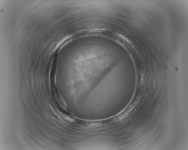 X0000059081161200510211534