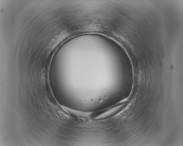 X0000059081162200510211534