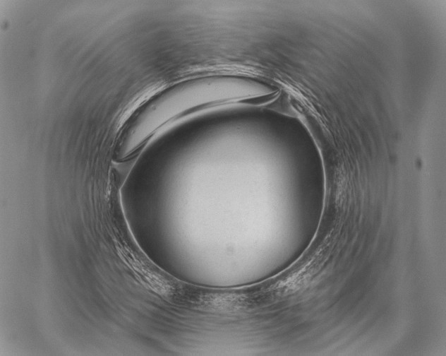 X0000059081163200510211534