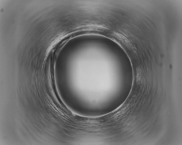 X0000059081164200510211534