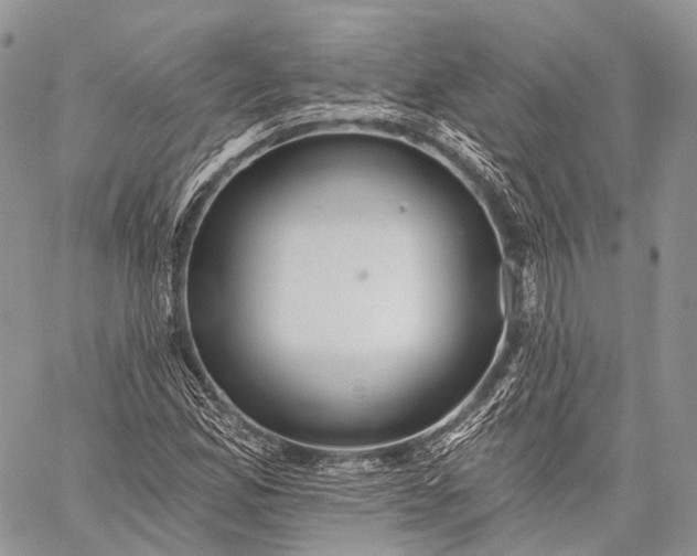 X0000059081165200510211534