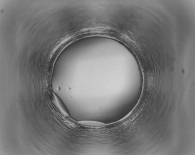 X0000059081166200510211534