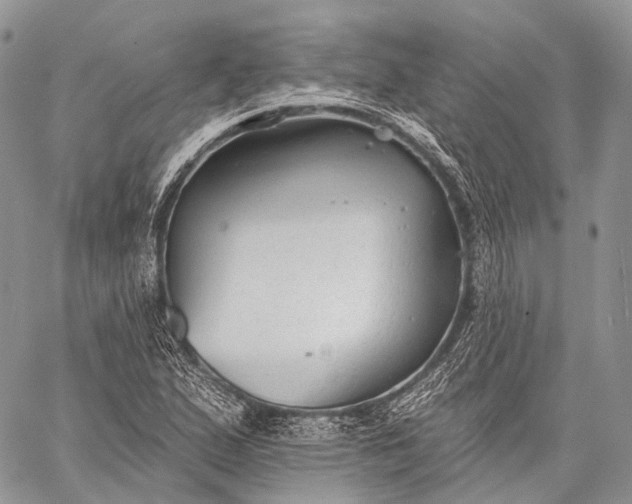 X0000059081167200510211534