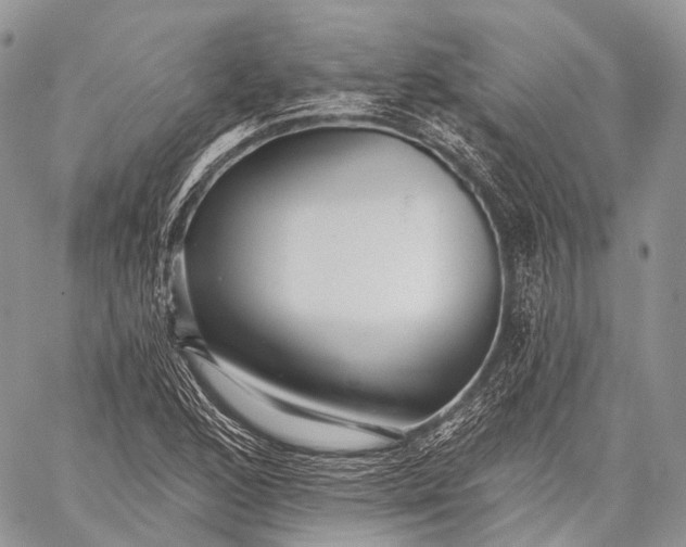 X0000059081168200510211534