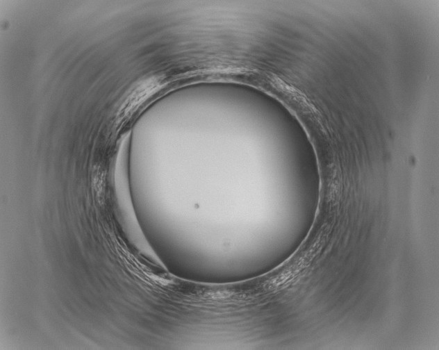 X0000059081169200510211534