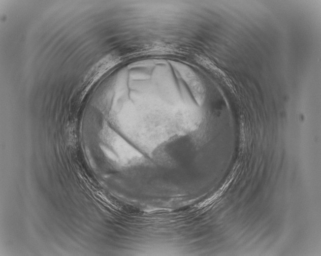 X0000059081170200510211534