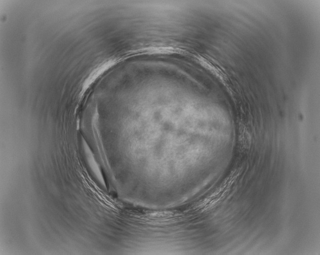 X0000059081171200510211534