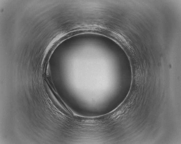 X0000059081172200510211534