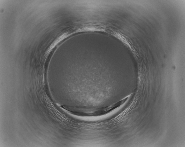 X0000059081173200510211534