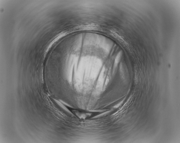 X0000059081174200510211534