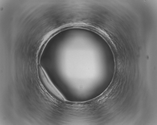 X0000059081176200510211534