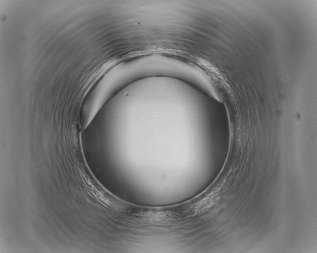 X0000059081177200510211534