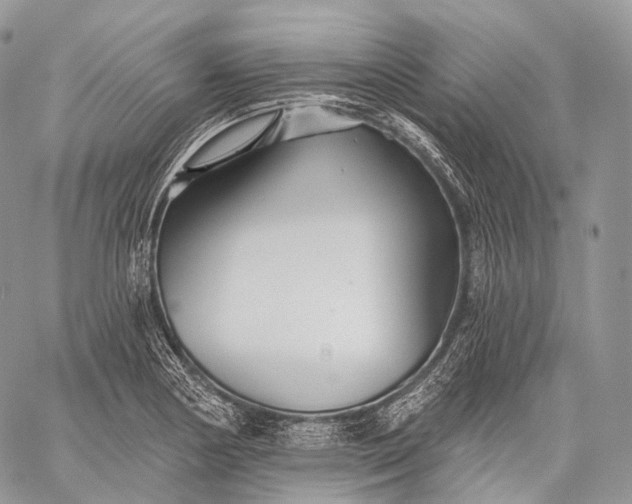 X0000059081178200510211534