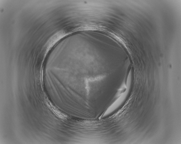 X0000059081179200510211534