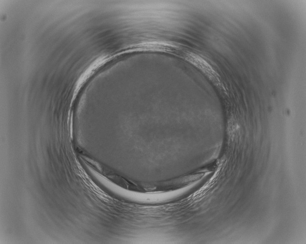 X0000059081180200510211534