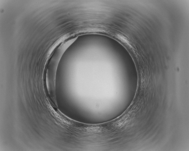 X0000059081181200510211534