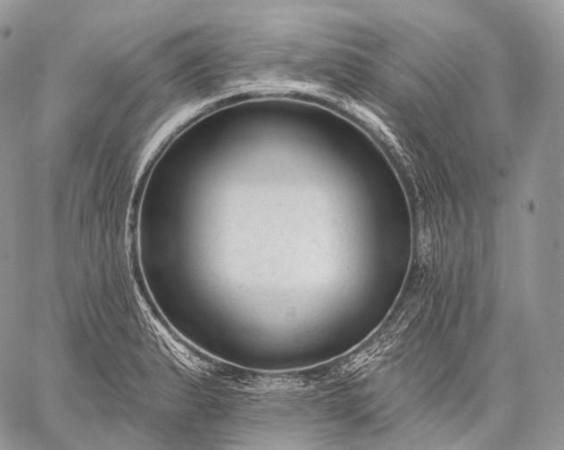 X0000059081183200510211534