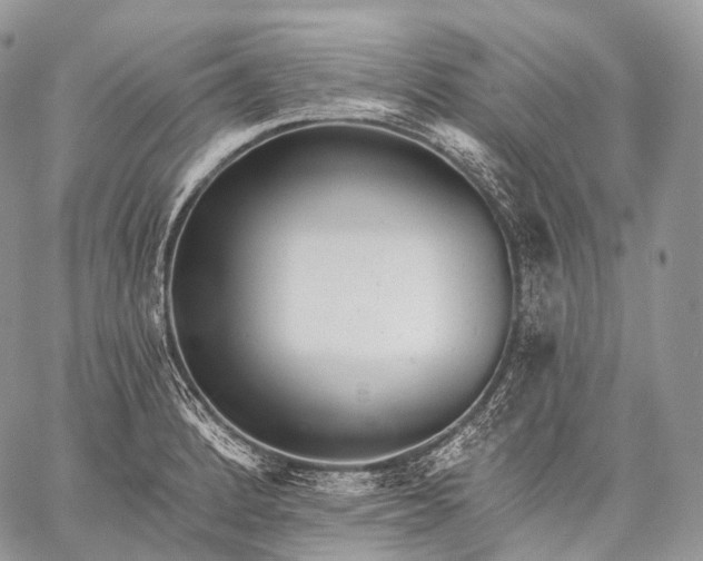 X0000059081184200510211534