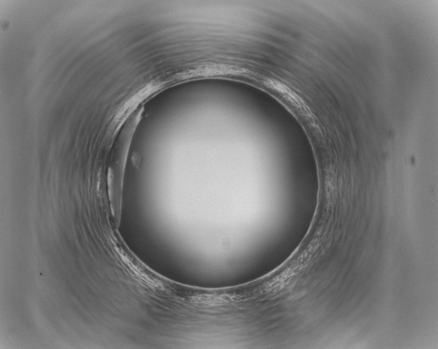 X0000059081185200510211534