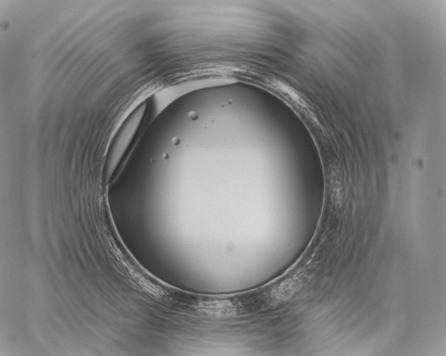 X0000059081186200510211534