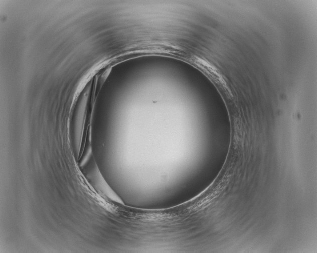 X0000059081188200510211534