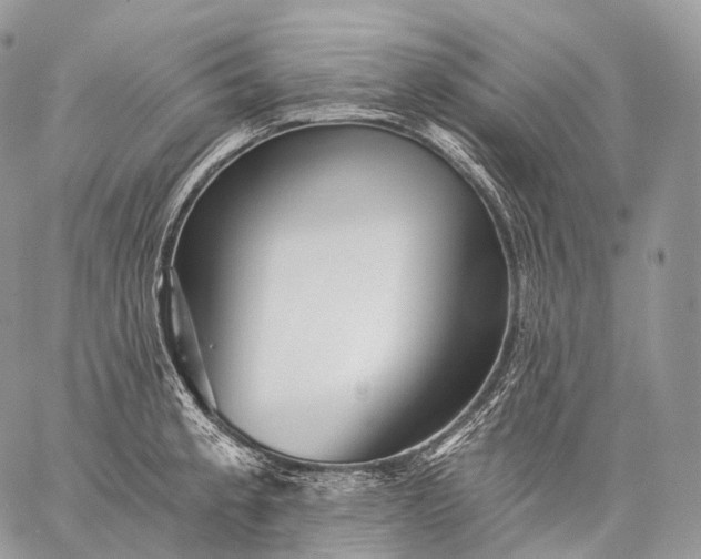 X0000059081189200510211534