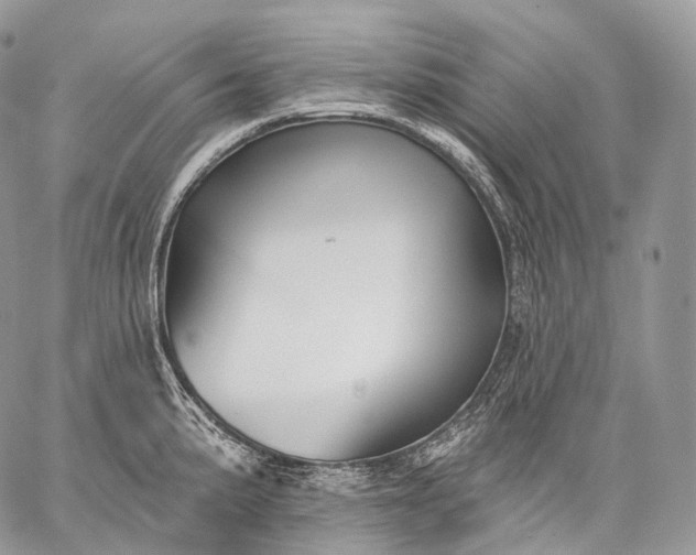 X0000059081191200510211534