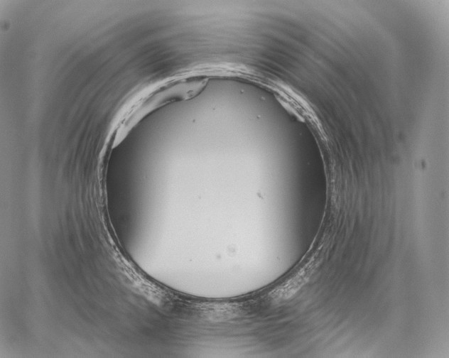 X0000059081192200510211534