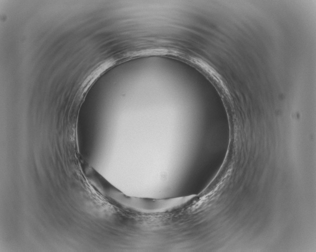 X0000059081193200510211534