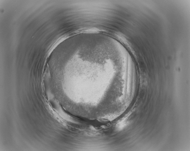 X0000059081194200510211534