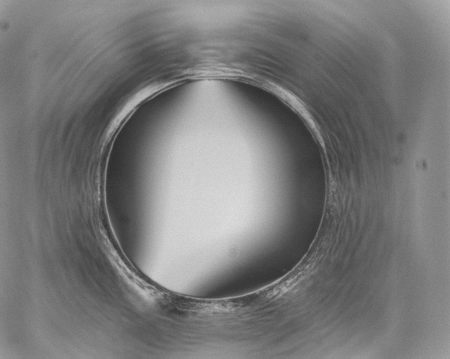 X0000059081195200510211534