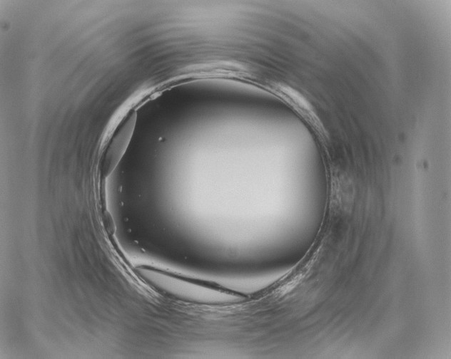 X0000059081196200510211534