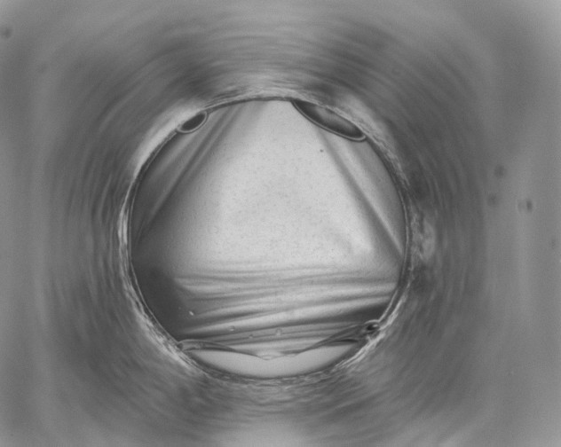 X0000059081198200510211534