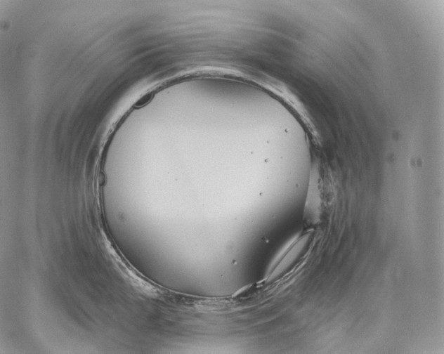 X0000059081199200510211534