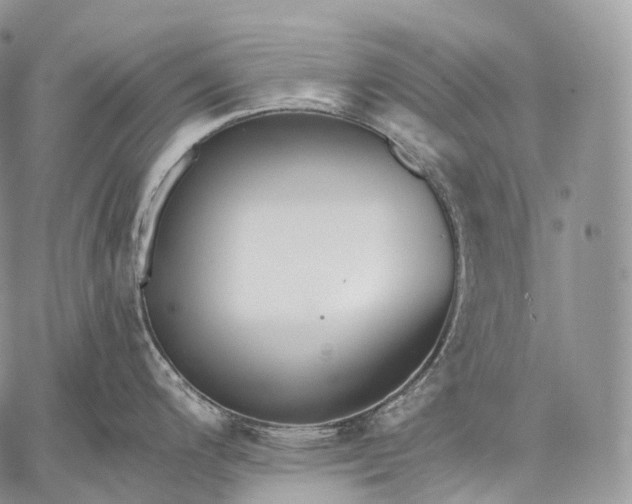 X0000059081200200510211534