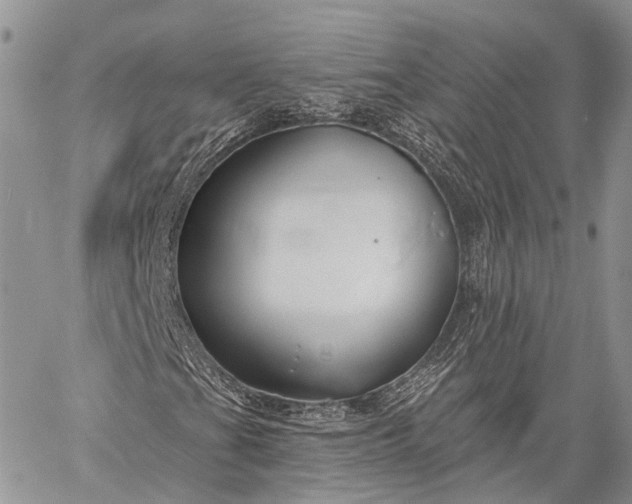 X0000059081201200510211533