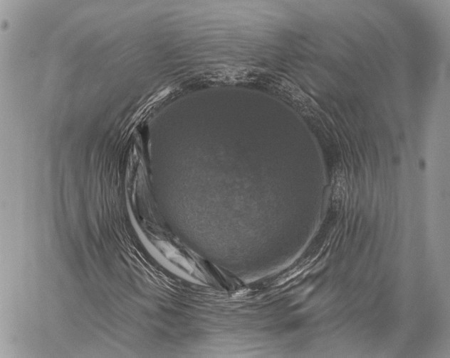 X0000059081202200510211533