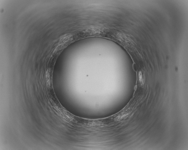 X0000059081203200510211533