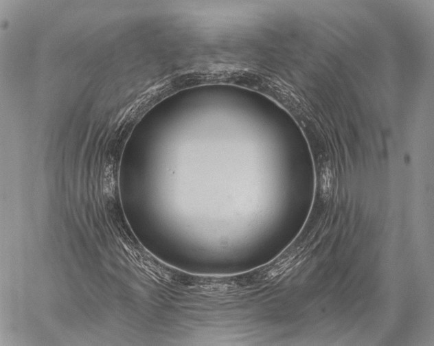 X0000059081204200510211533