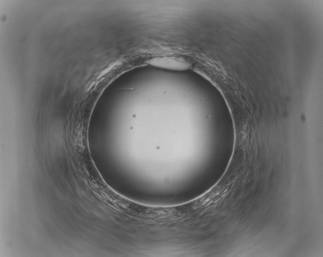 X0000059081205200510211533