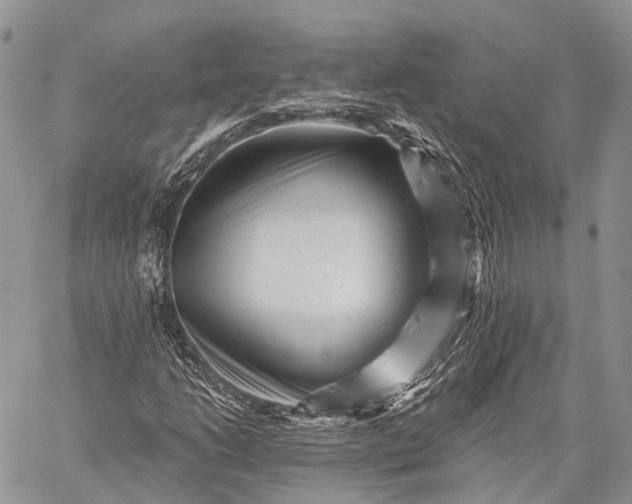 X0000059081206200510211533