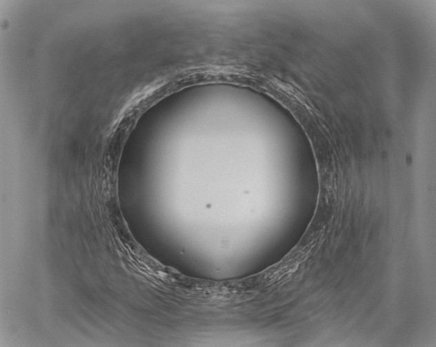 X0000059081207200510211533