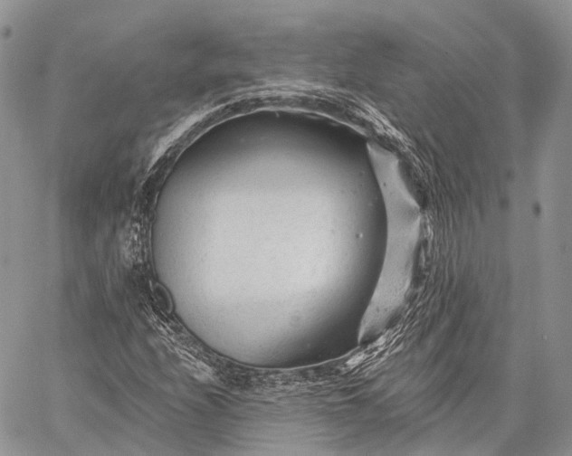 X0000059081208200510211533