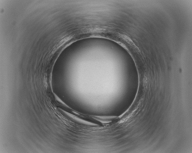 X0000059081209200510211533