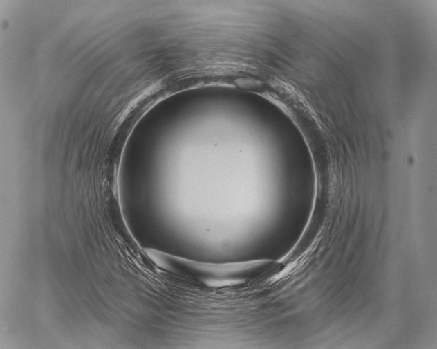 X0000059081210200510211533