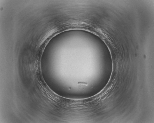 X0000059081211200510211533